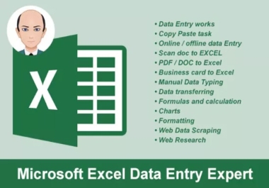 Professional Data entry expert
