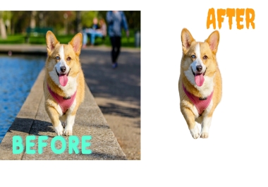 I WILL REMOVE YOUR BACKGROUND IN JUST A 3 HOURS OR LESS FAST AND PROFESSIONAL