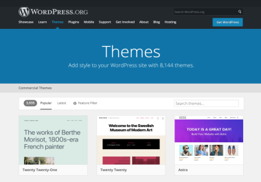 I will design or redesign your website on WordPress site