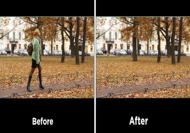 I Will Remove Any Object From Video and Screen Tracking and Replacement