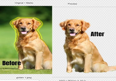 I can remove 50 Photos background just in 50 Minutes