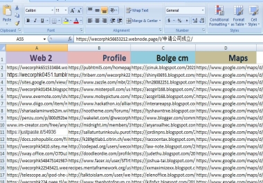 High quality profile,  web2.0,  maps and blog comment links in package