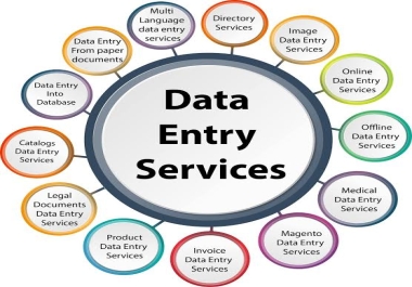 Expert in Data Entry,  Remote Work
