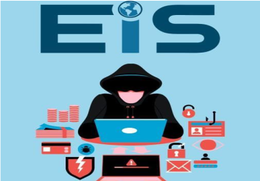 I'll find vulnerability,  risk & bug bounty for your website & device at Low Price