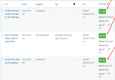 I will do on site or on page SEO and technical optimization for your website ranking