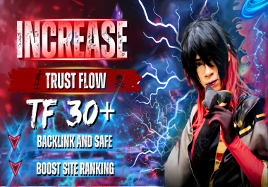 I will increase domain authority trust flow TF 30+ using seo backlinks
