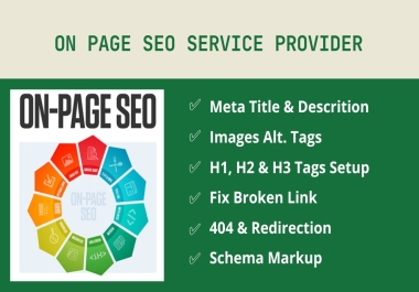 Complete On Page SEO Service for Your Website or Web Page