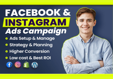 I will set up facebook and instagram ads campaign for your business