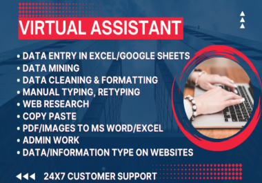 Virtual Assistant for data entry,  data mining,  web research,  copy paste & manual typing