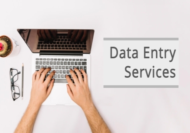 I will do perfect data entry,  copy paste,  data formatting and cleaning