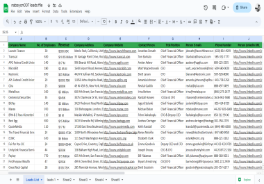 I wiil do b2b lead generation,  prospect list,  email list building for your business