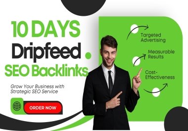 10 Days Dripfeed SEO Plan 1000 High-Quality Backlinks to Your Ranking website