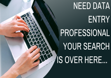 I will do Data Entry, Data Processing, Data Analysis, Web Research etc.