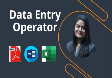 I will do fast and accurate data entry