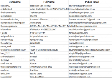 I will do excel data entry web scraping business email list data collection,  scraper