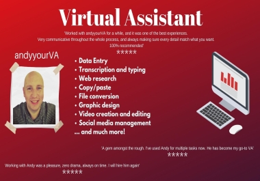 I can do professional Virtual Assistance. Data entry,  web research,  typing,  social media management.