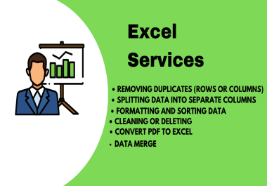 I will Do DATA Entry excel Data Cleaning,  Formatting,  Sorting,  Merging
