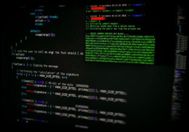 Build a website with python django or python flask include restAPIs