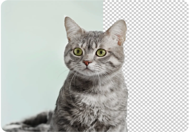 Remove image background upto 300 images