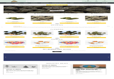 Master Your WordPress Website Expert Customization,  Optimization,  and Maintenance Services