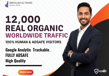 12,  000 Real Organic Worldwide Traffic Real Human AdSafe Visitors