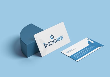 I will provide professional Business Card and Stationary Design