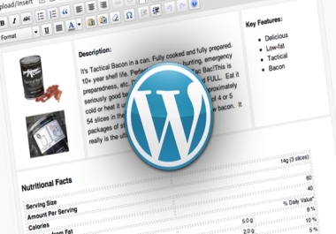 Responsive professional wordpress website design or blog website