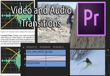 I will provide video or audio transcription services