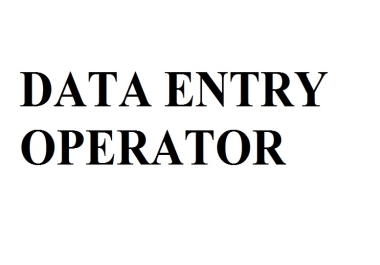 DATA ENTRY OPERATOR WITH CHEAP PRICE.