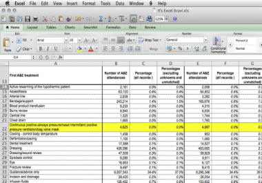 I will manage, sort, filter your data on excel