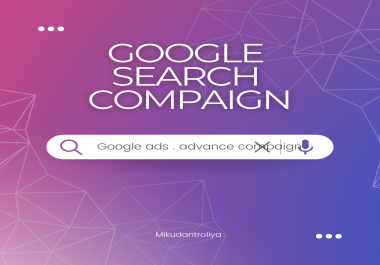 I will provide google search compaigne for your business