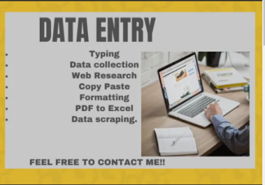 I will do data entry work,  copy paste, logo design
