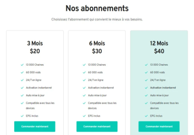 I will build a professional website for iptv reseller store with woocommerce plugins