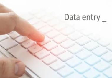 Data Entry and Formatting Services for Reports,  Documents,  Administrative Tasks and Survey Projects