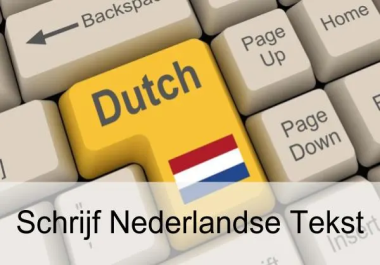I will write creative SEO website content in dutch nederlands copywriter