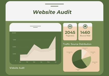 I will provide a professional SEO audit