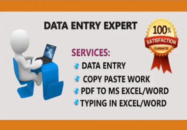 Data Entry Expert for Microsoft Word/Excel and Google Docs/Spreadsheet at lowest rate