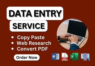 I will do Data Entry work in 4 hours with best quality