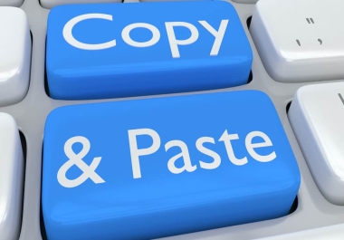 I will do proper copy-paste,  excel data entry, & word to pdf