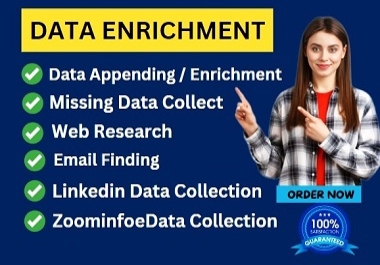 I will do advanced data appending enrichment and missing data collection,  email list building