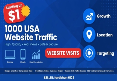 Send 1,000 USA Website Visitors to Your Website - Targeted Traffic Service