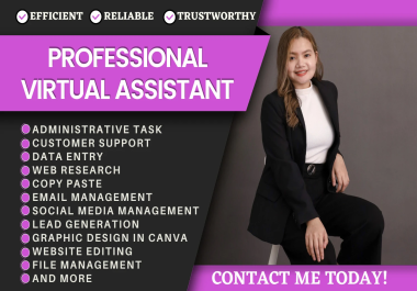I will be your professional virtual assistant for data entry web research lead generation etc