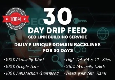 Build 30 days drip feed high quality daily base 10 unique domain blog comments backlinks