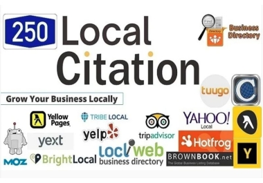 I will build top 250 local citation and directory submission