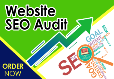 I will create a professional SEO audit for your website