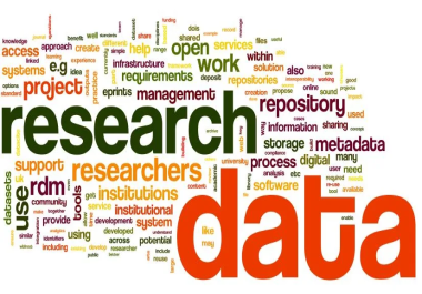 I will be your Professional Virtual Assistant for Data Entry,  Copy-Paste,  and Web Research Services