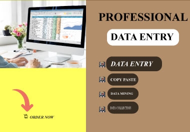 Fast & Accurate Data Entry Services Excel,  PDF,  Web Research
