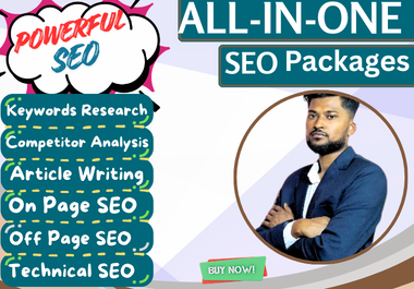 Professional ALL IN ONE SEO Service For Your Website