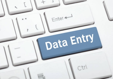 Freelance Data Entry Professional