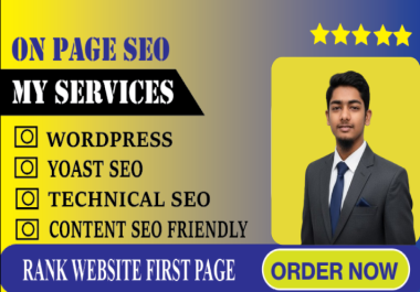 I will do on page seo and technical seo for your website rank